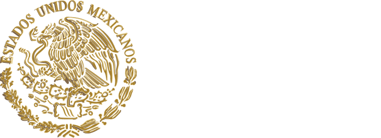 Página de inicio, Gobierno de México